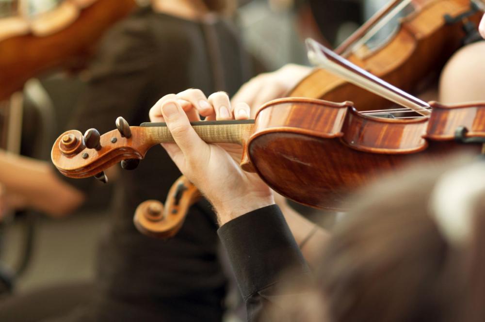 Violon