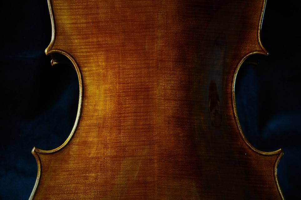 Violon