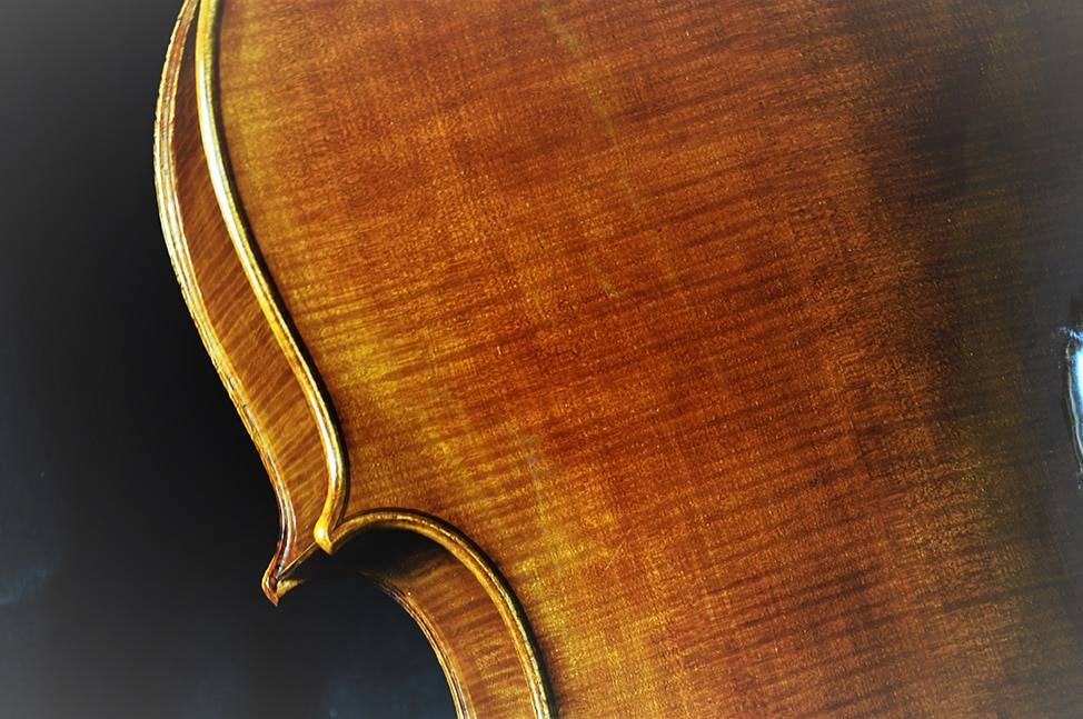 Violon