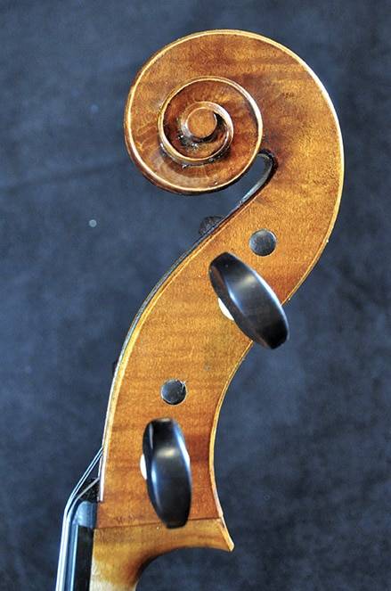 Violon