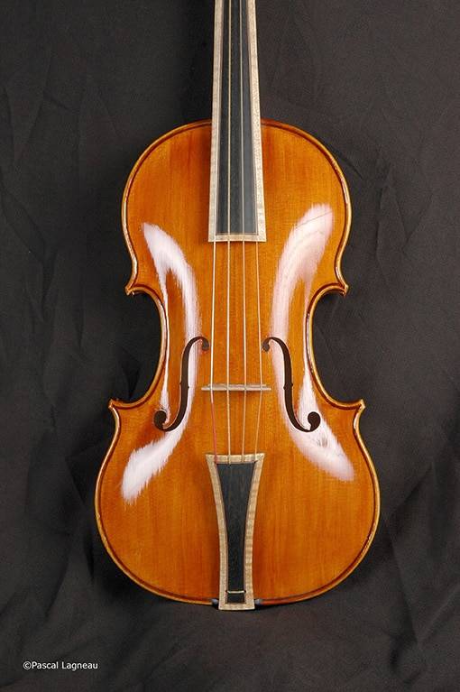 Violon