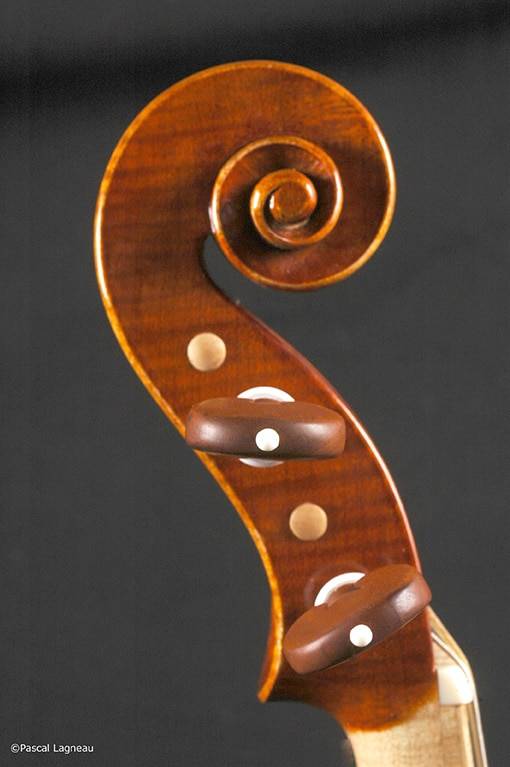 Violon