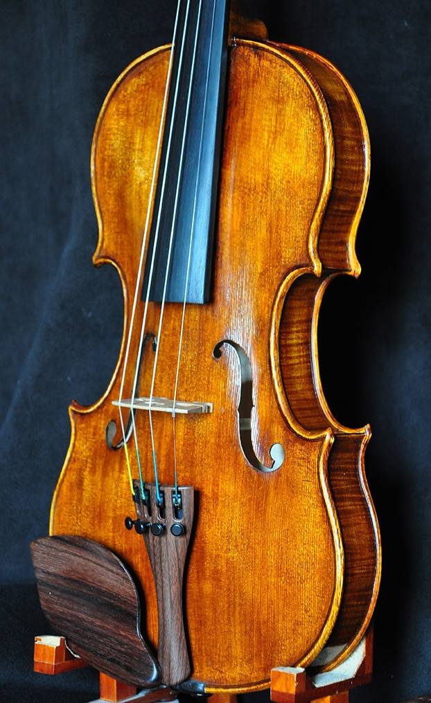 Violon