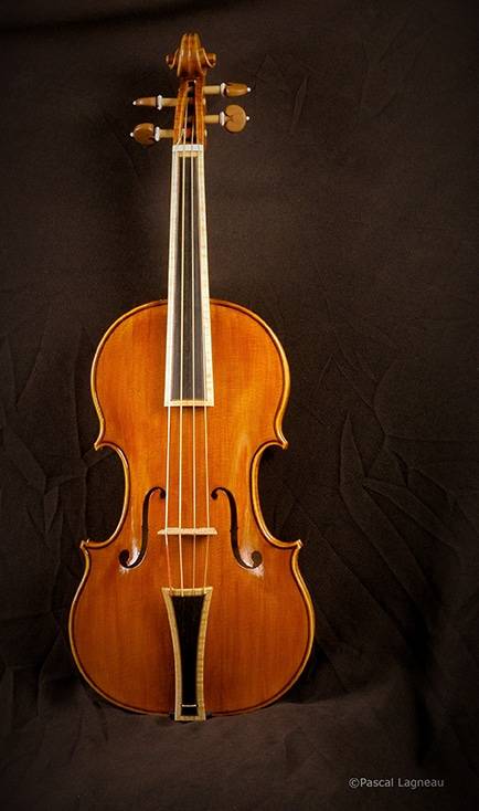 Violon