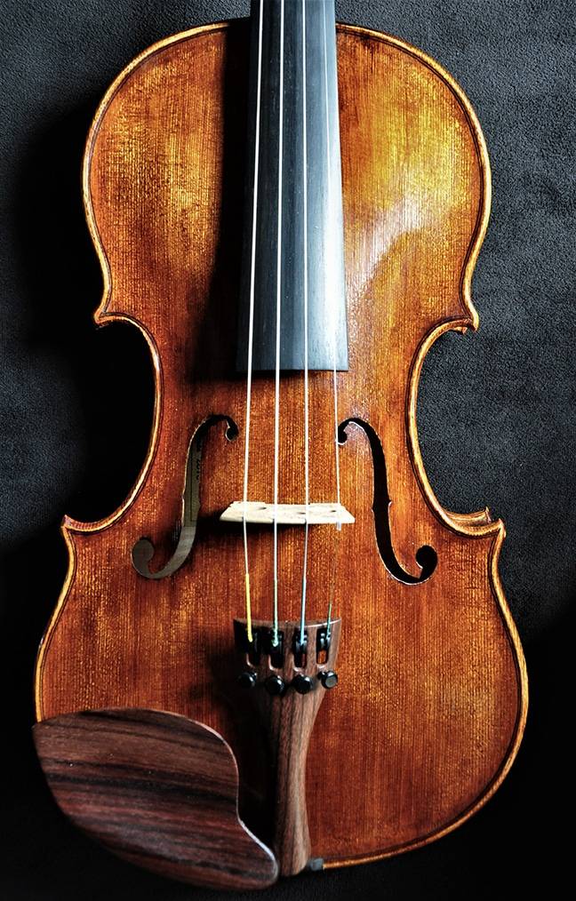 Violon