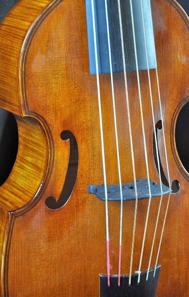 Violon