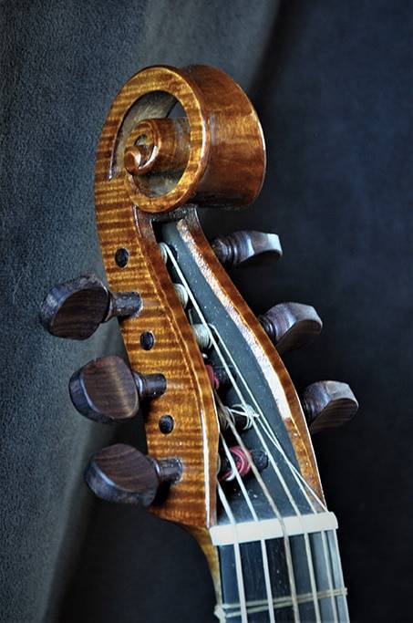 Violon