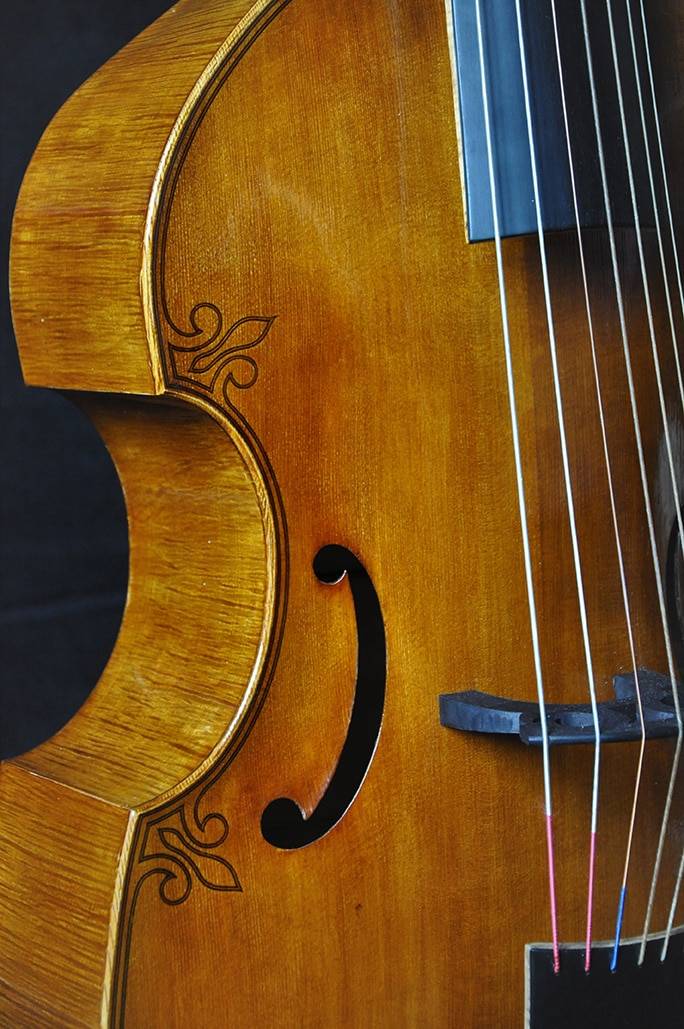 Violon