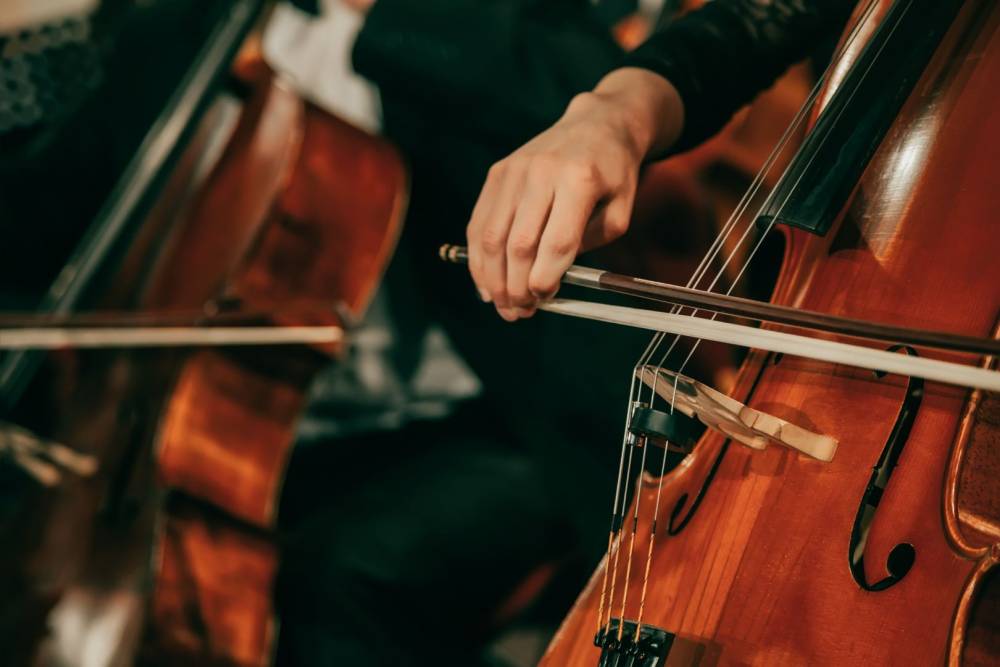 Vente Violoncelle à Sainte-Marie-la-Blanche