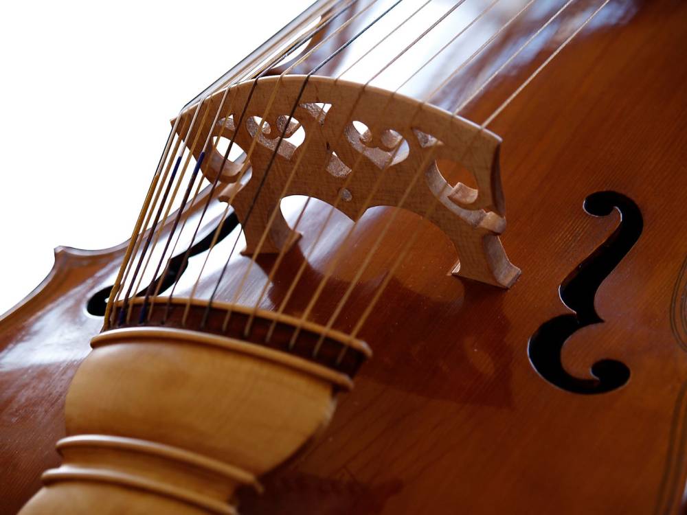 Viole de gambe