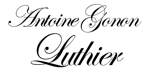 luthier-dijon